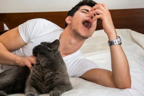 Young Man Relaxing on Bed Petting Grey Furry Cat and Sneezing from Allergies - Man Lying Down with Pet Cat and Having Allergic Reaction