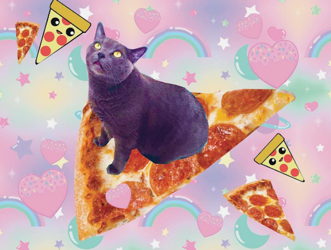 KawaiiCatCafeProfessorPizza