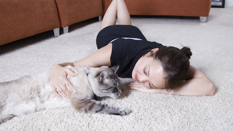 Woman petting cat on floor