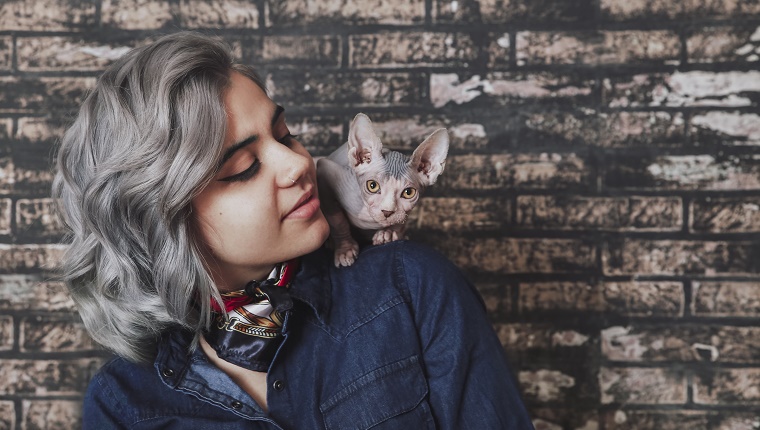 Young woman carrying Sphynx cat on shoulder