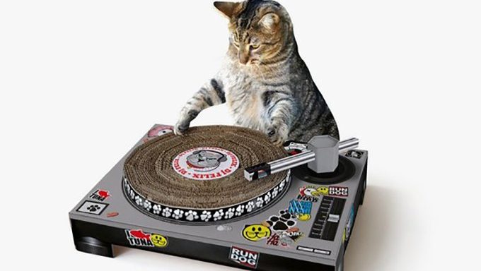 cat dj scratcher