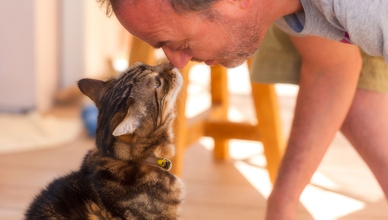 man and old cat: real love - have faith in / trusting