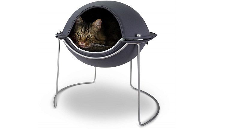 cat in cat pod