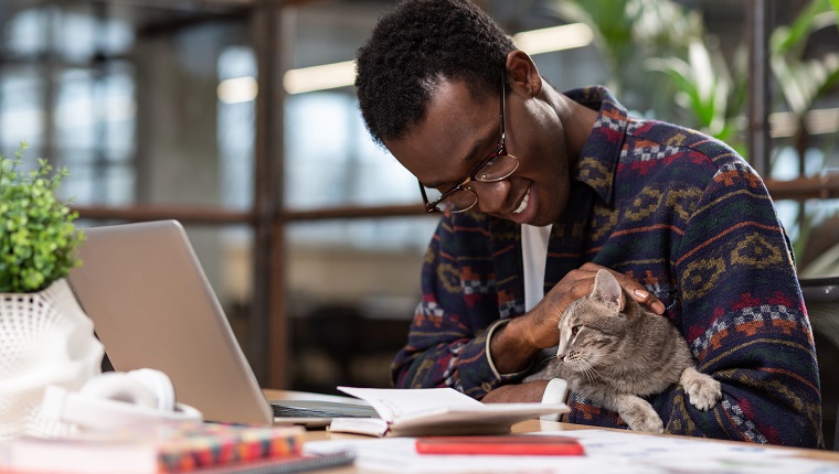 Having a pet. A man doing his office tasks with a cat in his hands