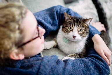 A girl wearing eyeglasses with her arms around her tabby cat