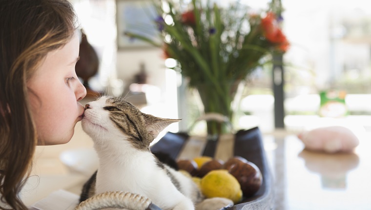 Girl (7-9) kissing cat