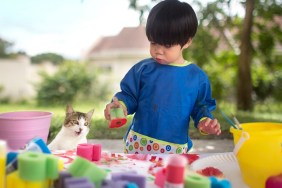 Asian toddler boy learn to paint with sponge. Art and craft session. Cat curiously looking at the process. Art and craft class.