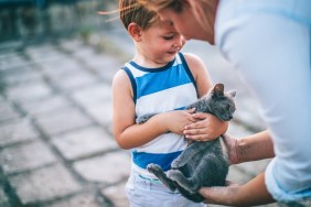 Little boy is meeting his new pet, little grey cat that is in mother's hands