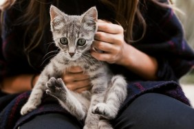 Little girl playing with her kitten