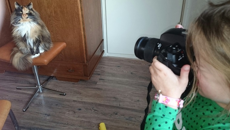 Girl Photographing Cat At Home