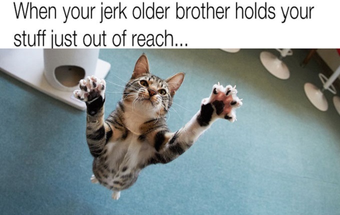 cat jumping with claws out, text reads "when your jerk older brother holds your stuff just out of reach"