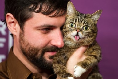 NEW YORK, NY - APRIL 18: Bubs owner Mike Bridavsky (L) and celebrity internet cat Lil Bub attends the screening of "Lil Bub & Friendz" during the 2013 Tribeca Film Festival at SVA Theater 1 on April 18, 2013 in New York City.