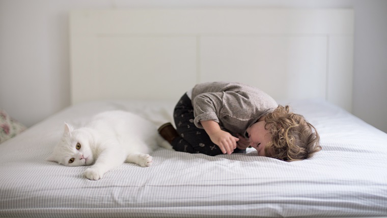 Toddler and cat in bed