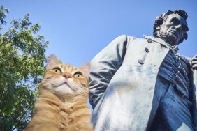 abraham lincoln statue and cat