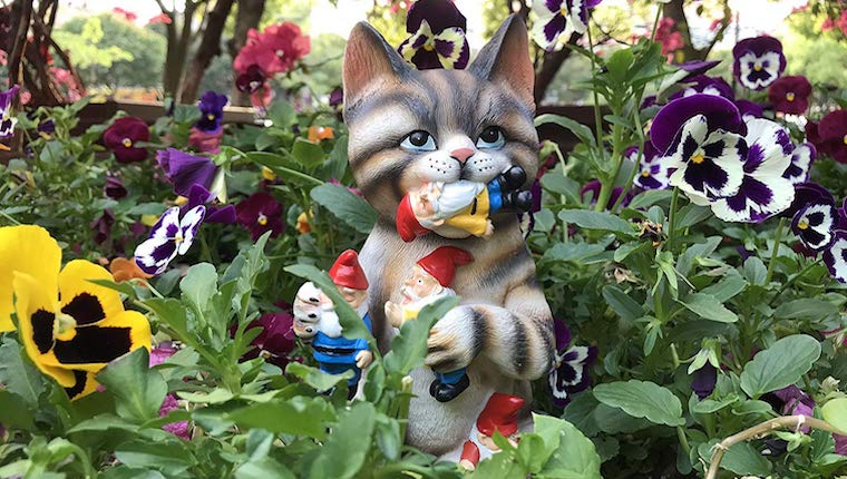 Cat gnome in garden