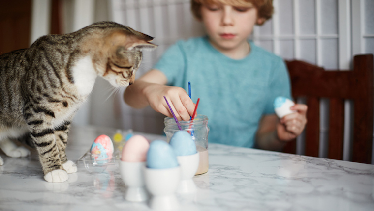 Cat and kid crafting