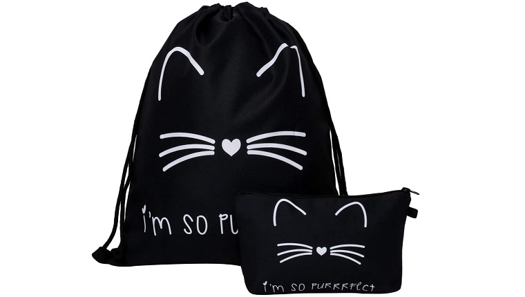 cat bag