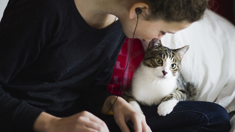 Teenage girl with earphone sitting on a bed and using a laptop with here cute tabby cat beside here