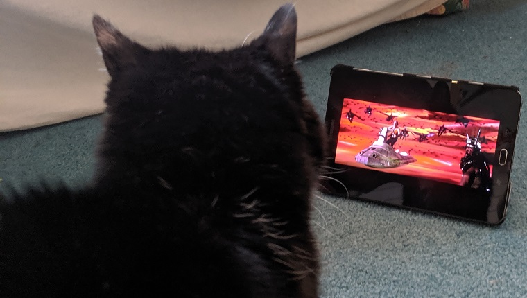 cat watching flash gordon