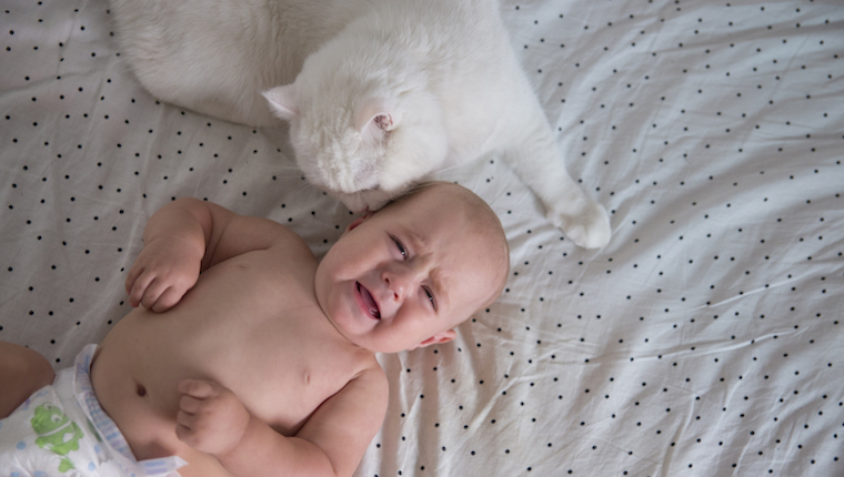 Cat and baby