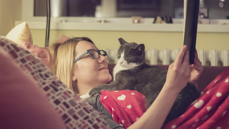 Beautiful young blonde woman is trying to read a book while her persistent cat is trying to sleep on her chest.