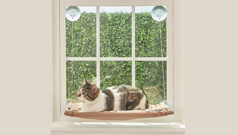 cat window perch