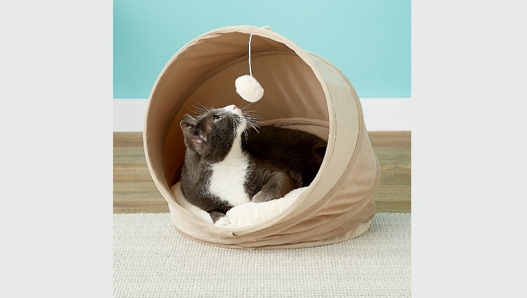 canopy cat bed