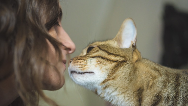 A young woman approaches her face to her cat