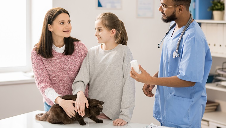 Little girl and her mother cuddling cute cat while young veterinarain showing them pills for the pet