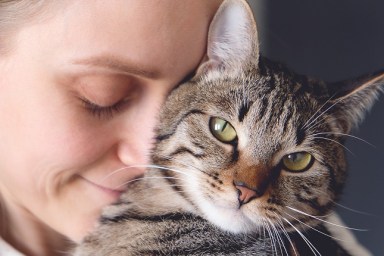 A woman Holds a Cat in her Arms and Hugs it.