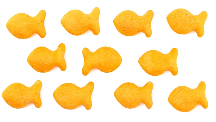 FIsh Shaped Cheese Crackers on a White Background