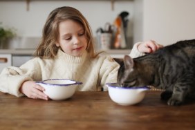 A 6 year old girl having her breakfast with her cat