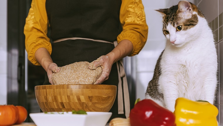 Woman preparing delicious pizza with her sweet cat. Home made concept.