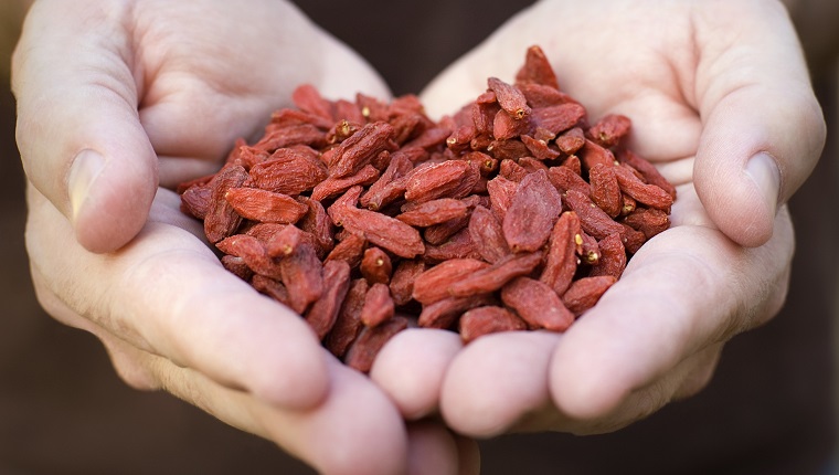 Hands Holding Dried Goji Berries