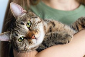 woman cuddling cat top cat names