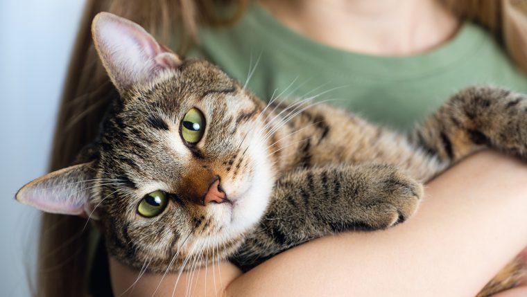 woman cuddling cat top cat names