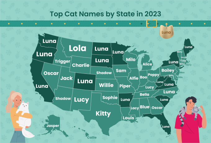 map of top cat names by state