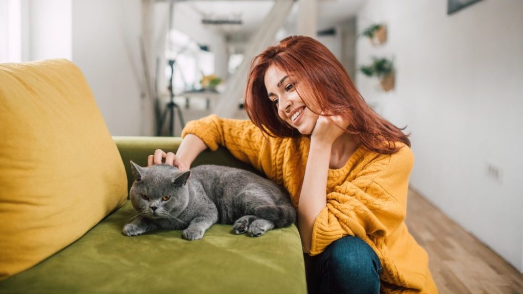 young woman caring for cat cat-sitting etiquette for pet sitters