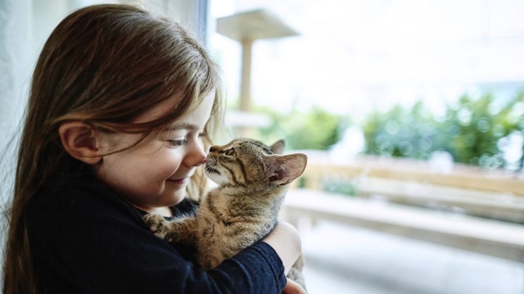 little girl hugging kitten benefits of cat ownership for kids