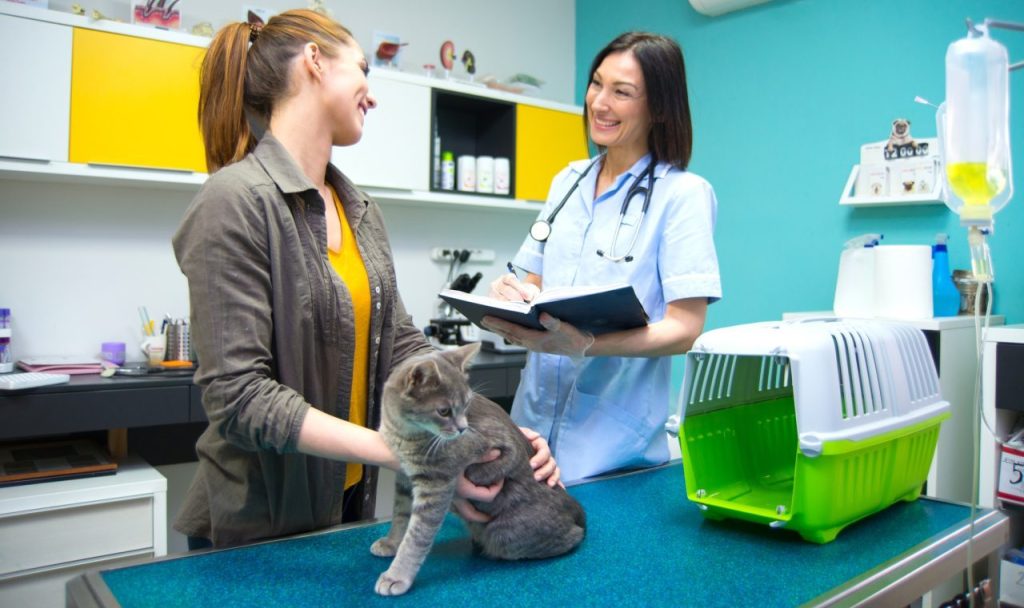 owner with cat receiving veterinary care pet insurance for cats