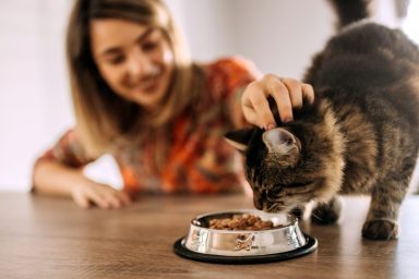 Happy woman free feeding cat on counter.