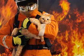 Fireman cradling an orange cat after saving him from a blazing fire in the image background.