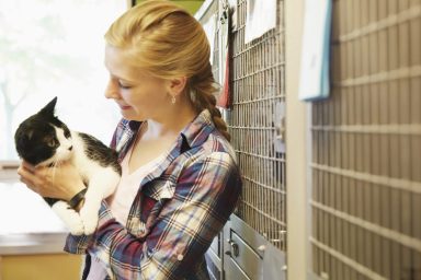 Woman adoringly looking a rescue cat in an animal shelter.