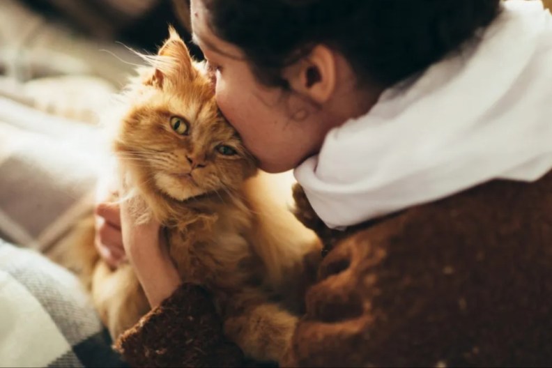 A cat with a woman, like the cat in Florida who saved her owner from a fire.