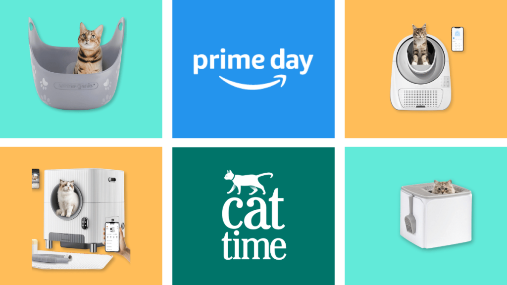 Best Cat Litter Box Prime Day Deals