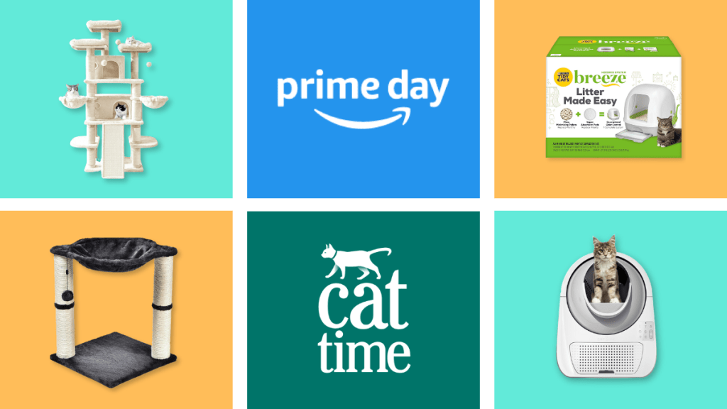 Amazon Prime Day 2024 CatTime