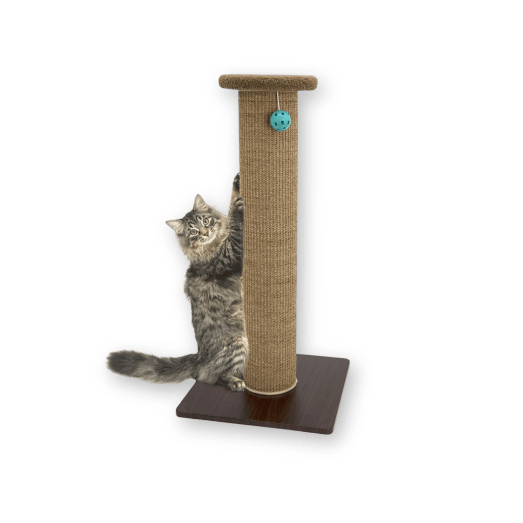 Kitty City Cat tree prime day deal