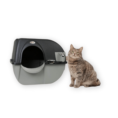 Best Automatic Cat Litter Box by Omega