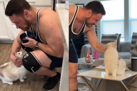 Video of pregnant cat with owner.