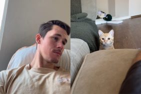 cat scheduled play time